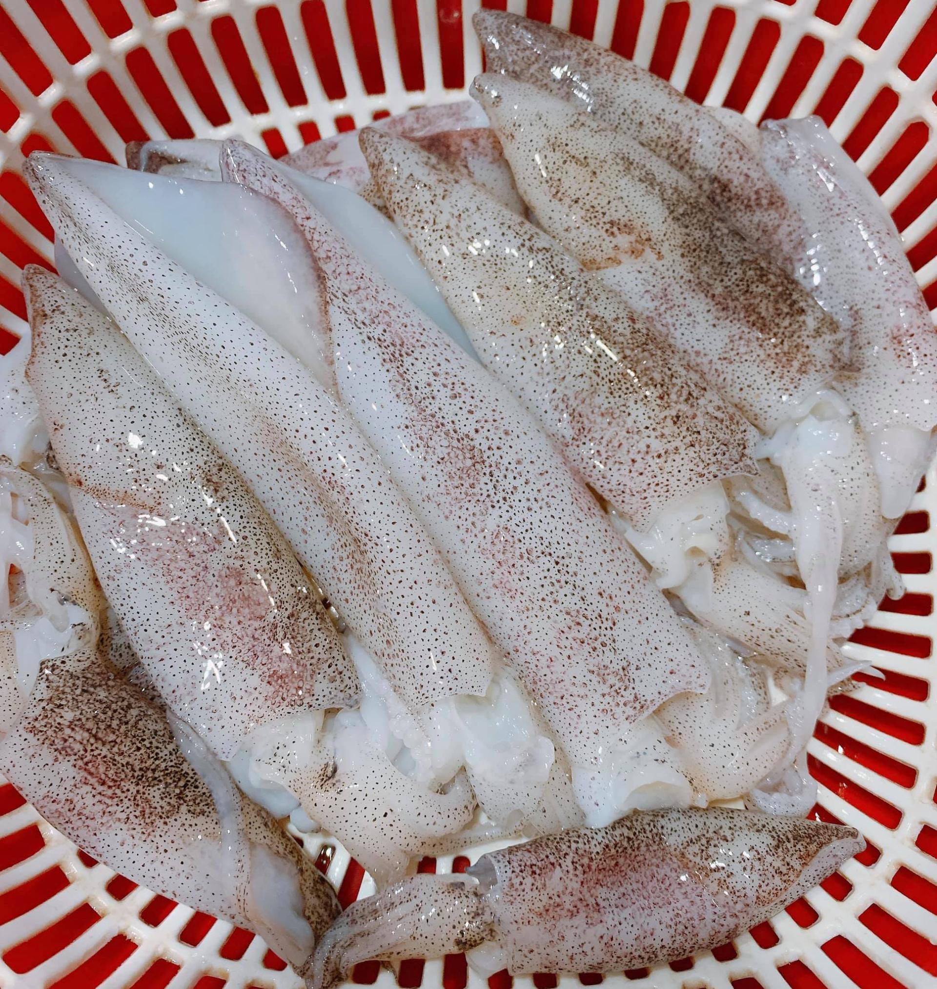 Chọn mực tươi ngon